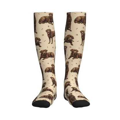 Cute Dog Compression Socks Women Men, Dog Lover Gift - color: Chocolate Lab