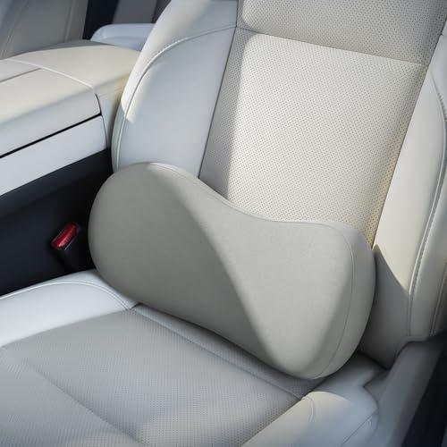 BABUR Lumbar Support Pillow for Car, Coccyx Pain Relief Cushion - color: Gray