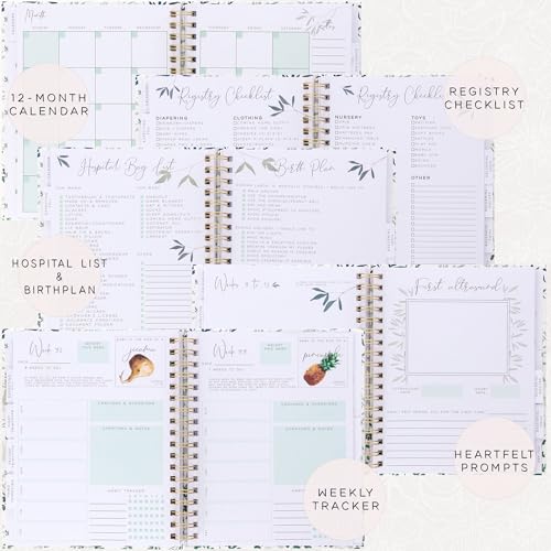 Pregnancy Bundle Set- Our Comprehensive Pregnancy Journal and Baby Memory Book