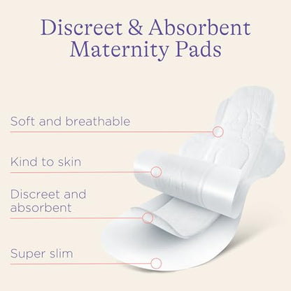 Lansinoh Postpartum Maxi Pads Bundle, Heavy Absorbency Overnight Pads with Wings, Includes 2 Sizes for Extra Protection, Postpartum Essentials, 40 Count (Pack of 2) - size: 40 Count (Pack of 2)