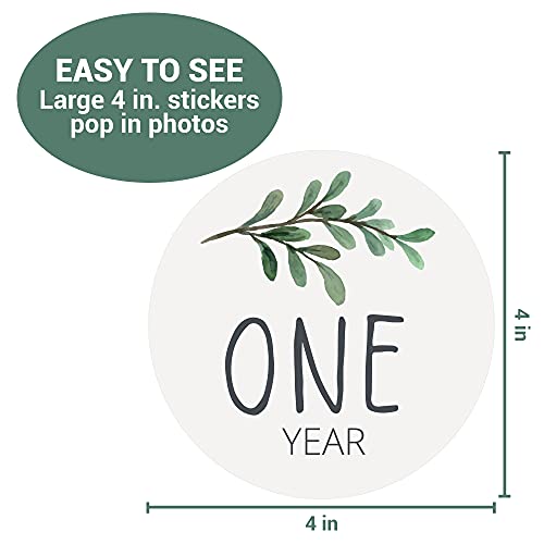 Baby Monthly Milestone Stickers - Set of 24 - Greenery Designs
