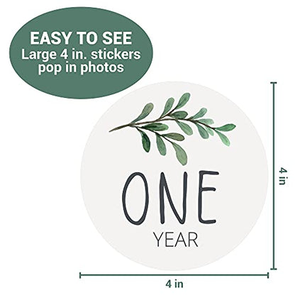 Baby Monthly Milestone Stickers - Set of 24 - Greenery Designs