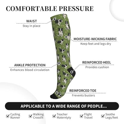 Cute Dog Compression Socks Women Men, Dog Lover Gift - color: Border Collie