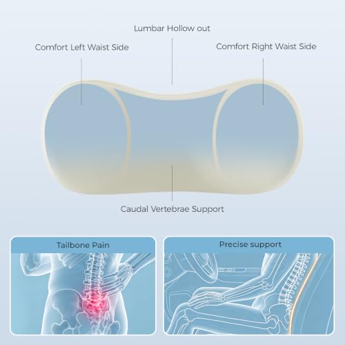 BABUR Lumbar Support Pillow for Car, Coccyx Pain Relief Cushion - color: Beige