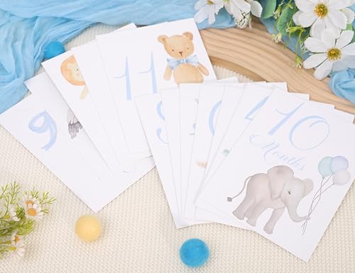 Baby First Holiday Cards,First Year Cards,Monthly Milestone Baby Shower