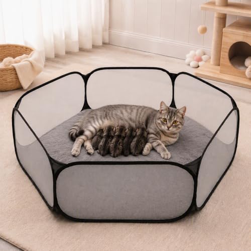Cat Birthing Box - Whelping Box for Pregnant Cats & Dogs, Portable Foldable Whelping Pool for Pet with Storage Bag