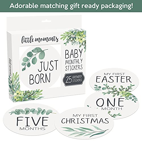 Baby Monthly Milestone Stickers - Set of 24 - Greenery Designs