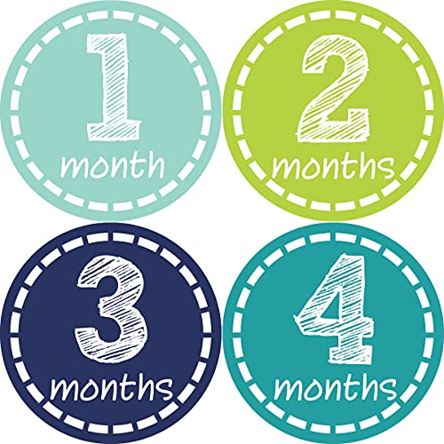 Baby Monthly Milestone Stickers - Newborn Boy Stickers (Style 113)