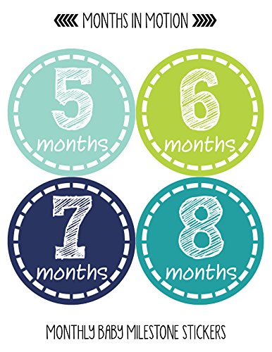 Baby Monthly Milestone Stickers - Newborn Boy Stickers (Style 113)