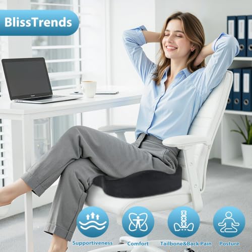 BlissTrends Extra Thick Seat Cushion for Office Chair & Car Seat, Grey - color: Grey, size: XX-Large