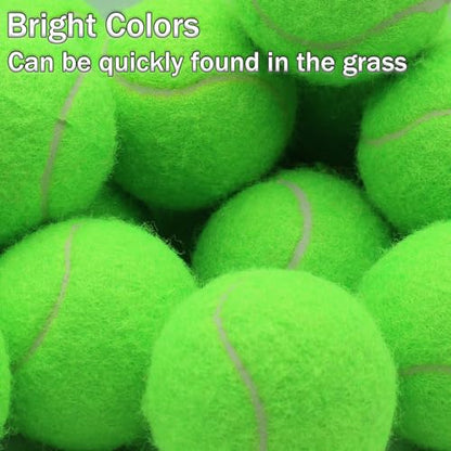 SHYUJAJIE Tennis Ball,20 Pack Practice Balls Bulk,Dog Balls with Mesh Bag - color: Light Green