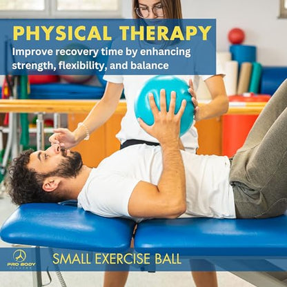 ProBody Pilates Ball Small — 9 Inch Small Exercise Ball - color: Blue