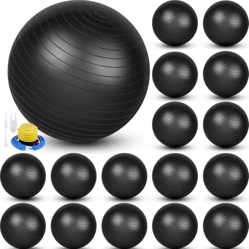 Leyndo 16 Pcs 26 Inch Yoga Exercise Ball Bulk with Pump - color: Black
