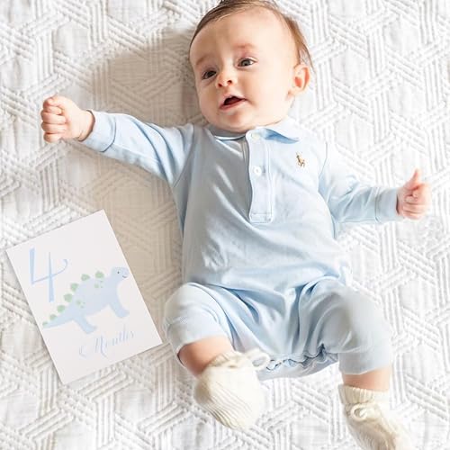 Baby First Holiday Cards,First Year Cards,Monthly Milestone Baby Shower