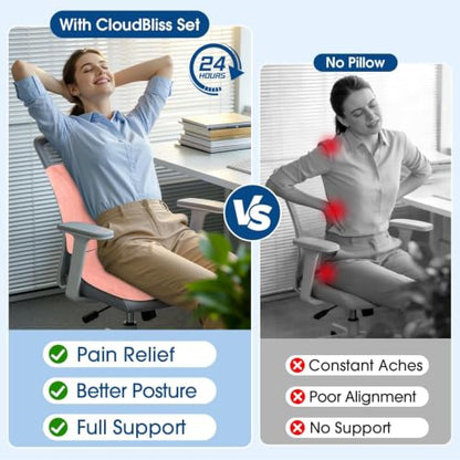 CloudBliss Ergonomic Seat Cushion & Lumbar Support Pillow Set, Pink, Large - color: Pink, size: Large