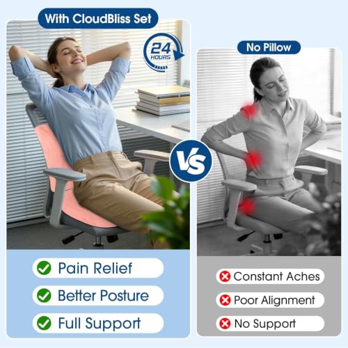 CloudBliss Ergonomic Seat Cushion & Lumbar Support Pillow Set, Pink, XL - color: Pink, size: X-Large