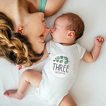 Baby Monthly Milestone Stickers - Set of 24 - Greenery Designs