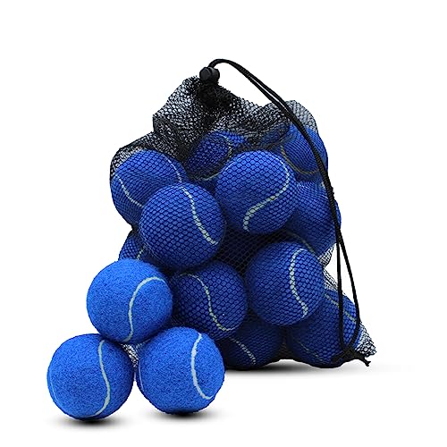 Swingers Tennis Balls, 6/20/36/80 Pack Training Exercise Balls for Pet Dog - color: Dark Blue, size: 20 PACK