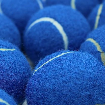 Swingers Tennis Balls, 6/20/36/80 Pack Training Exercise Balls for Pet Dog - color: Dark Blue, size: 20 PACK