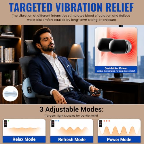DELSI Triple Fusion Back Massager, Heated Lumbar Support Pillow, Traction
