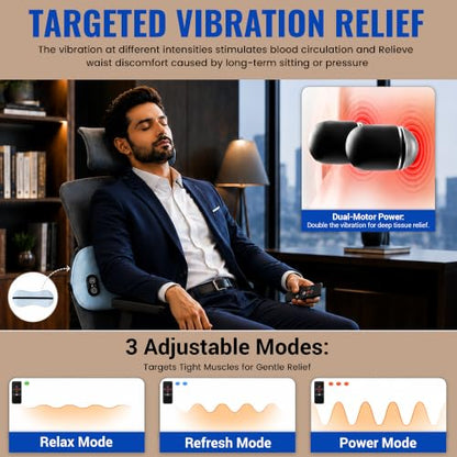 DELSI Triple Fusion Back Massager, Heated Lumbar Support Pillow, Traction