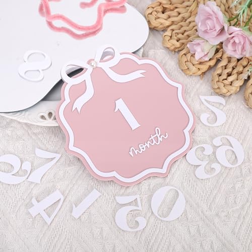 Pink Acrylic 1 to 12 Months Milestone Cards - Bow Nursery Decorations
