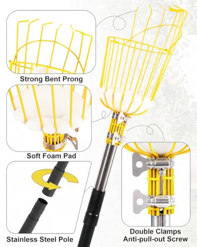 6.5FT Fruit Picker with Basket, Apple Picking Tool 35–77 Inch Adjustable Pole, Long-Handle Mango Grabber, Tree Fruit Catcher for Harvesting Lemon Pear Orange Avocado Peach Citrus Grapefruit - size: 6.5FT