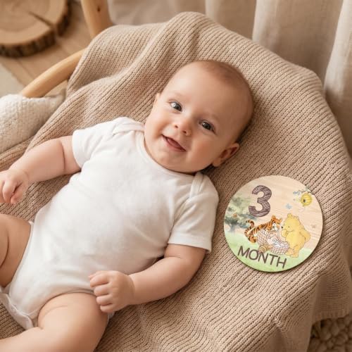 7 Pcs Winnie Bear Baby Monthly Milestone Markers