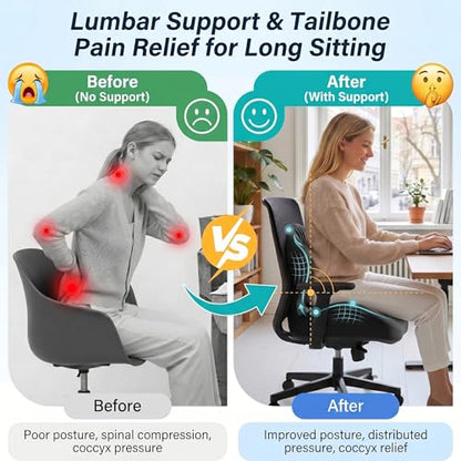 Ergonomic Seat Cushion with Lumbar Support（Black） - color: Black