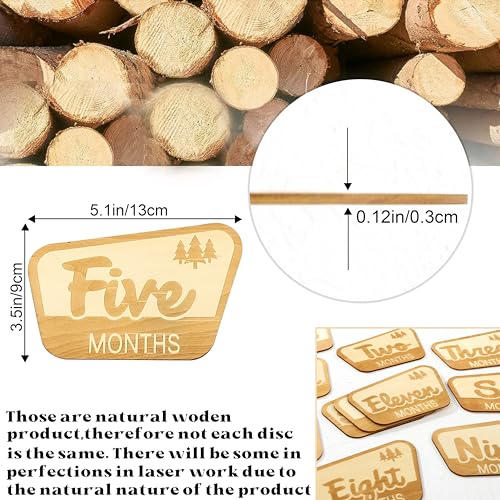 Baby Monthly Milestone Markers,Mountain Baby's First Year