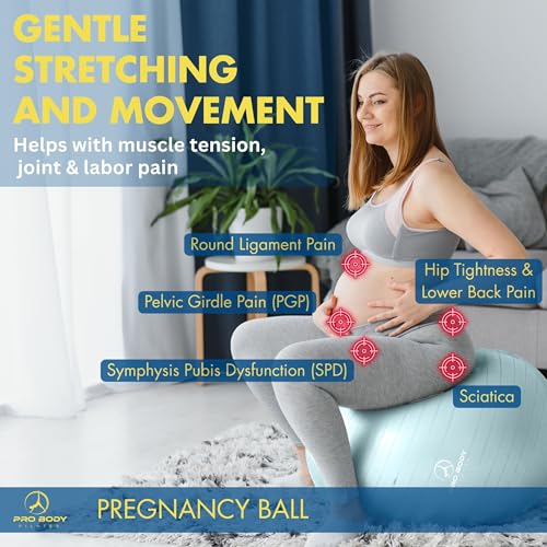 ProBody Pilates Pregnancy Ball with Guide - Birthing Ball - color: Mist, size: 75 cm: 5'10" +