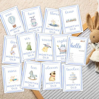 Monthly Milestone Signs for Baby My First Holiday Milestone Signs - color: Blue 2
