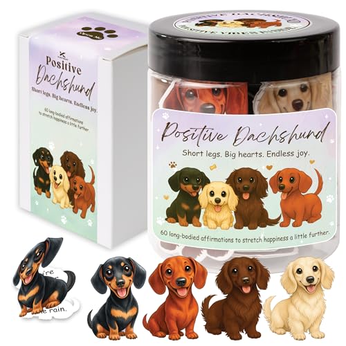 Positive Dachshund Jar – 60 Positive Affirmation Cards for Women, Mindfulness Cards, Stress Relief & Self Care Gifts for Women, Teen Girl, Birthday Gift for Her, Friendship Gift, Dachshund Gifts - color: Dachshund Positive