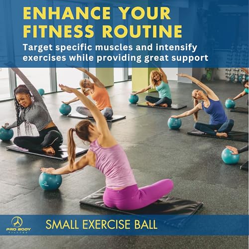 ProBody Pilates Ball Small with Pump - 9 Inch Small Exercise Ball - color: Silver