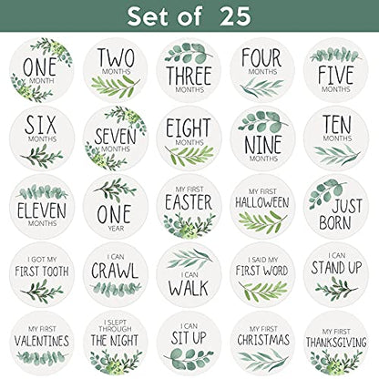 Baby Monthly Milestone Stickers - Set of 24 - Greenery Designs