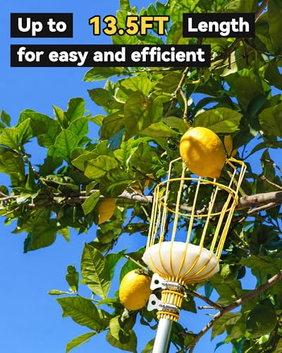 13.5FT Fruit Picker with Basket, Apple Picking Tool 35–161" Adjustable Pole, Long-Handle Mango Grabber, Tree Fruit Catcher for Harvesting Lemon Pear Orange Avocado Peach Citrus Grapefruit - size: 13.5FT