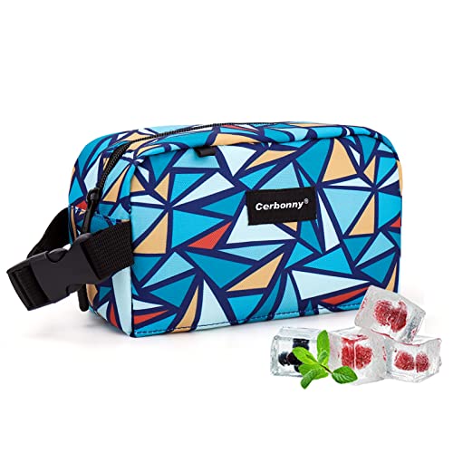 Cerbonny Small Lunch Bag,Freezable Lunch Bag,Built-In Ice Pack - color: Triangle-1