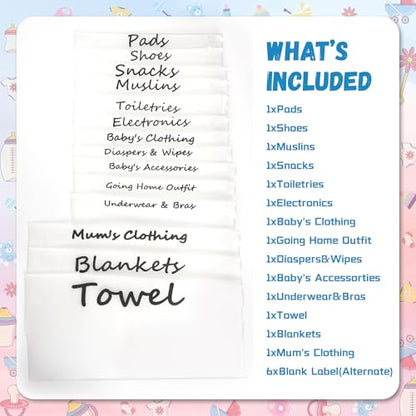 Hospital Bag for Women Labor Delivery, Diaper Organizer Pouches, 20 Pack