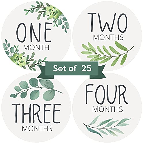 Baby Monthly Milestone Stickers - Set of 24 - Greenery Designs