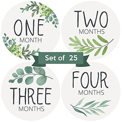 Baby Monthly Milestone Stickers - Set of 24 - Greenery Designs