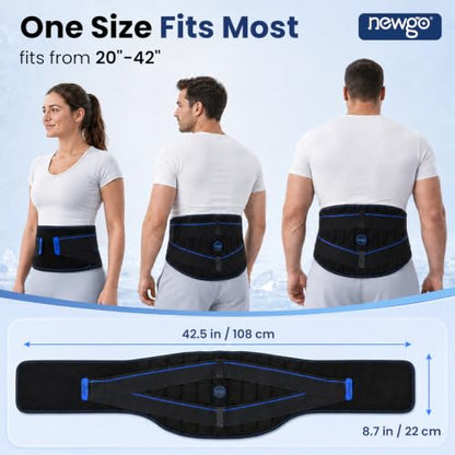 NEWGO Ice Pack for Lower Back Pain Relief, 2 Hours Long-Lasting - size: Ice Cube Pack