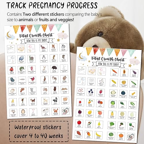 Pregnancy Water Bottle Tracker(Black), with 2 Different Weekly Stickers - color: Black