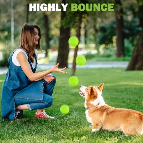 FURWEY Tennis Ball,6/12/24/36/40/80 Pack Training Balls,Dog Balls - size: 24P
