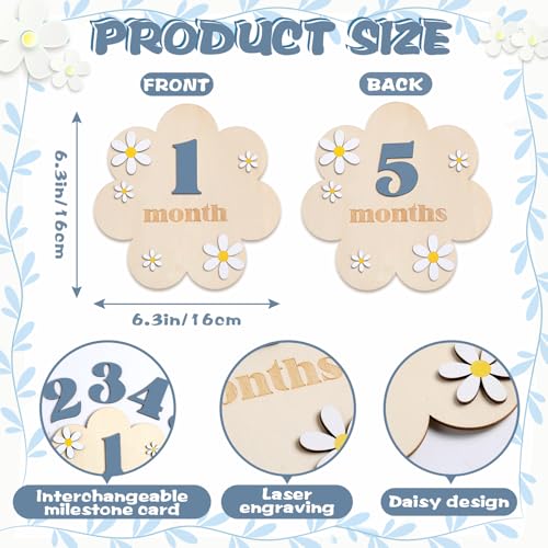 3D Daisy Baby Monthly Milestone Sign Cards, Slate Blue - color: Slate Blue