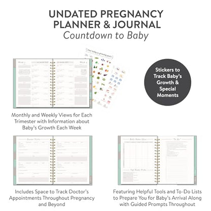 Studio Oh! Countdown to Baby Pregnancy Journal for Women - color: Gold