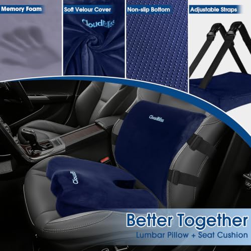 CloudBliss Ergonomic Seat Cushion & Lumbar Support Pillow Set, Blue, XL - color: Blue, size: X-Large
