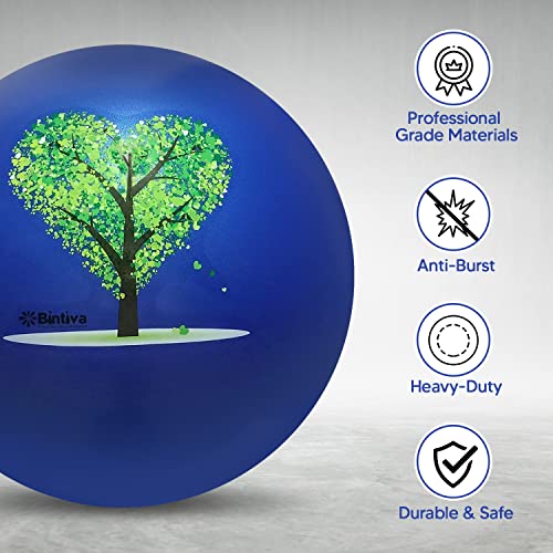bintiva Exercise Ball - color: Stabilizing Sand - Blue, size: M (58-65cm)