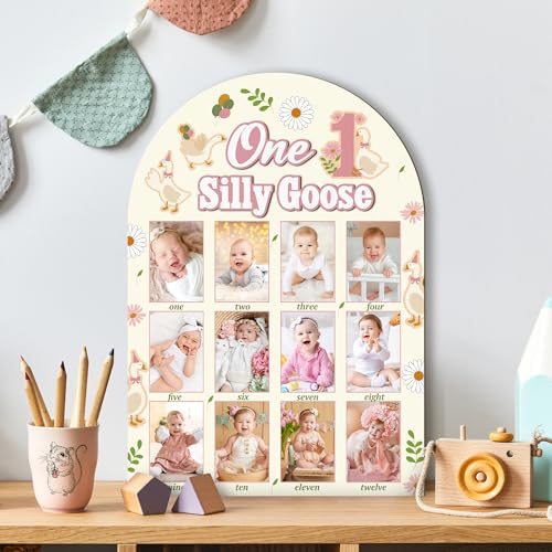 R HORSE 3D My First Year Photo Frame Board Fits 2 x 3 Inch Photo - color: Goose