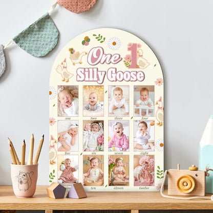 R HORSE 3D My First Year Photo Frame Board Fits 2 x 3 Inch Photo - color: Goose