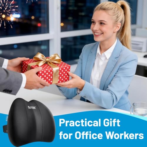 QUTOOL Patented Lumbar Support for Office Chair Pressure Relief